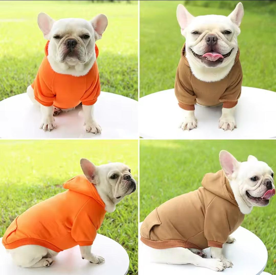 Dog Shack UK! Hoody For Dogs | Luxury Home Accessories | Heulog Glow