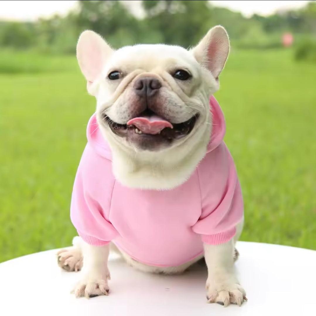Dog Shack UK! Hoody For Dogs | Luxury Home Accessories | Heulog Glow