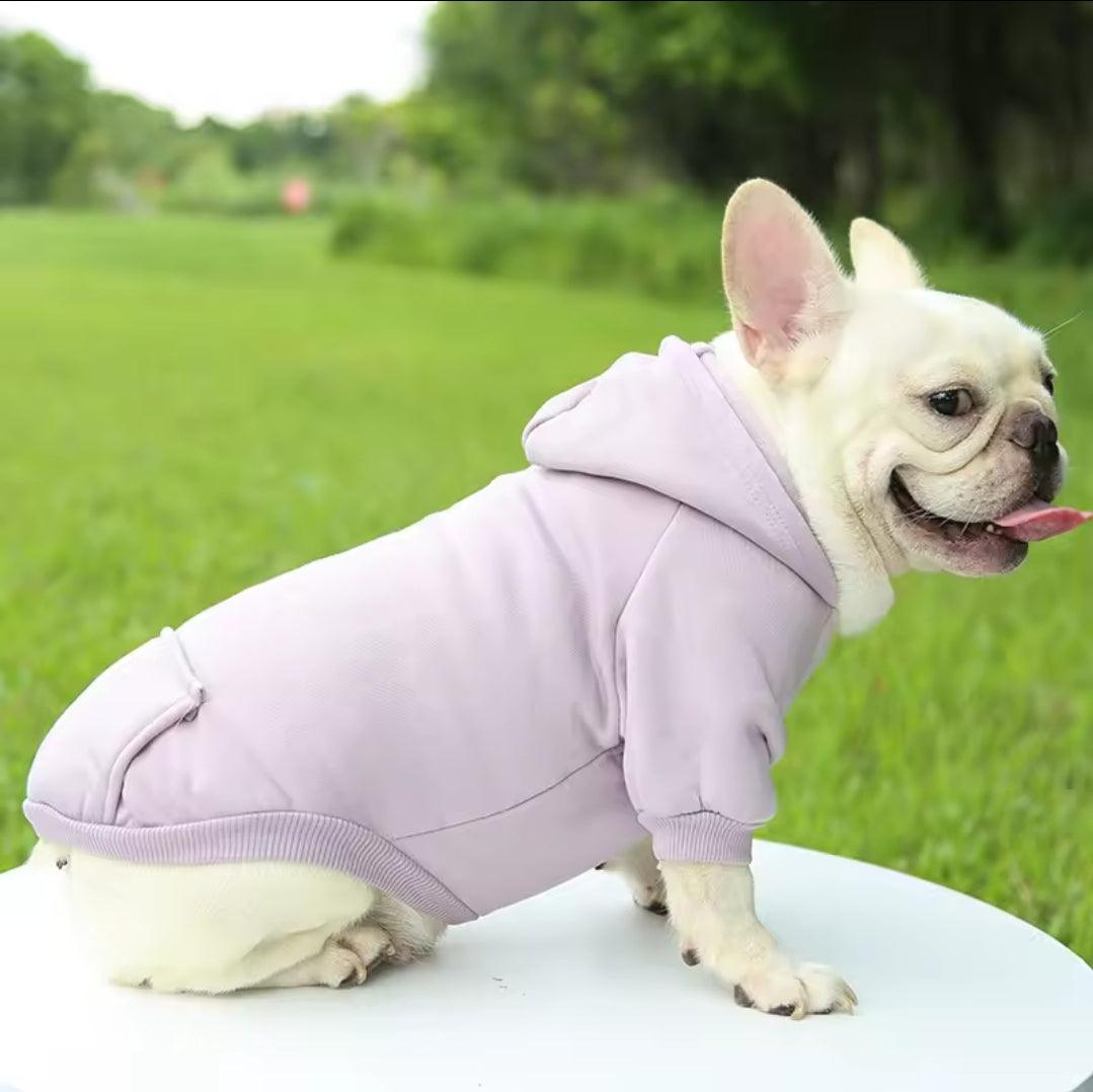 Dog Shack UK! Hoody For Dogs | Luxury Home Accessories | Heulog Glow