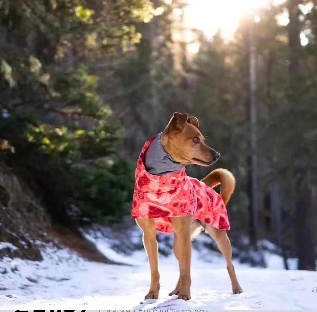 Dog Shack Winter Sherpa Dog Coat. | Luxury Home Accessories | Heulog Glow