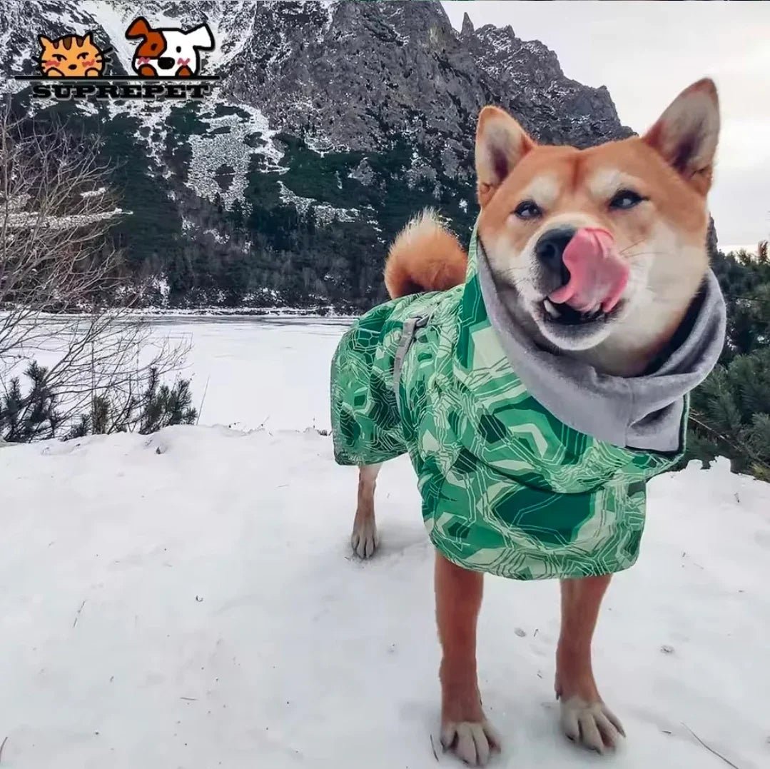 Dog Shack Winter Sherpa Dog Coat. | Luxury Home Accessories | Heulog Glow