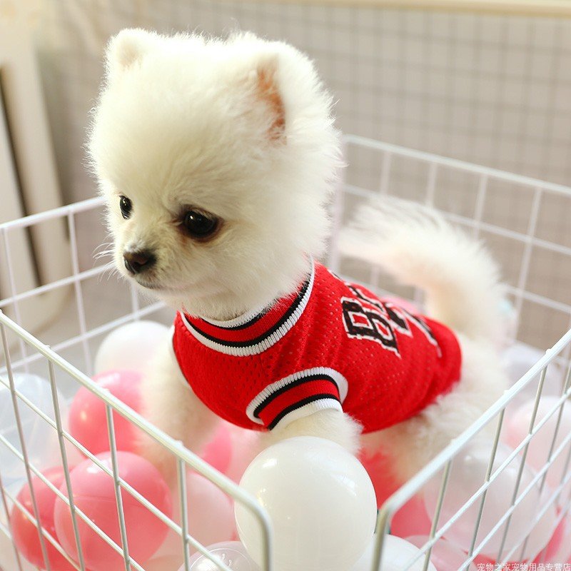 Dog Summer Clothes Teddy Vest Breathable | Luxury Home Accessories | Heulog Glow