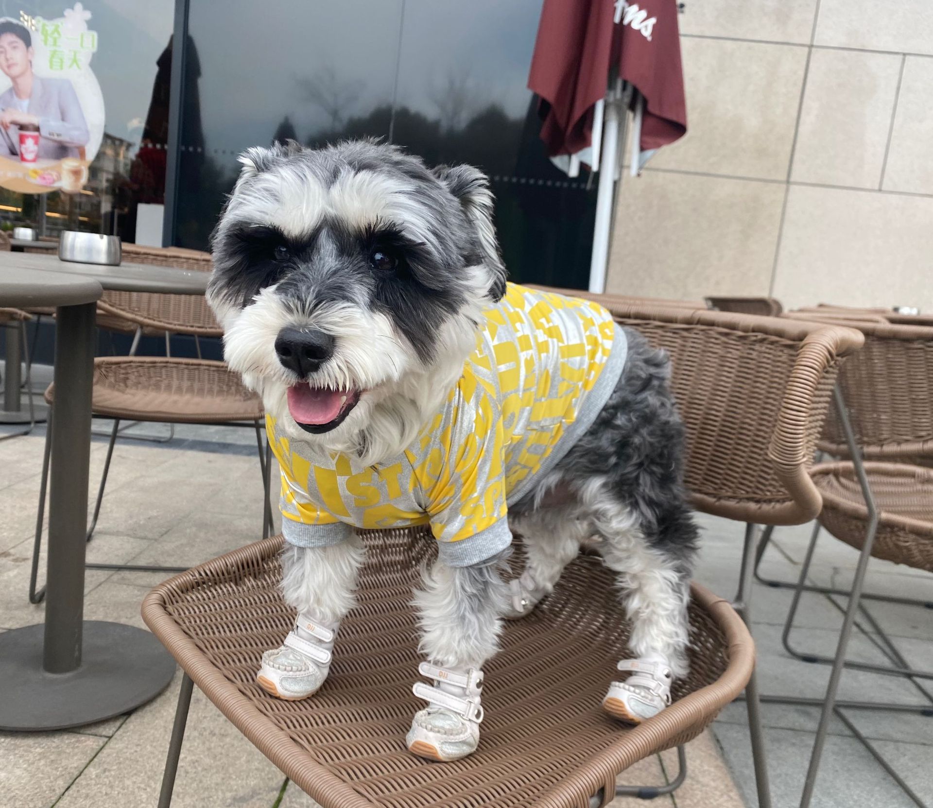 Dog Tide Brand T-shirt Letter Spring And Summer Europe And The United States | Luxury Home Accessories | Heulog Glow