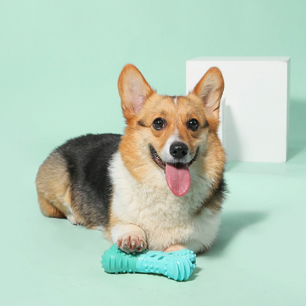 Dog Toy Food Leakage Molar Rod Outdoor Water Floating Toy | Luxury Home Accessories | Heulog Glow