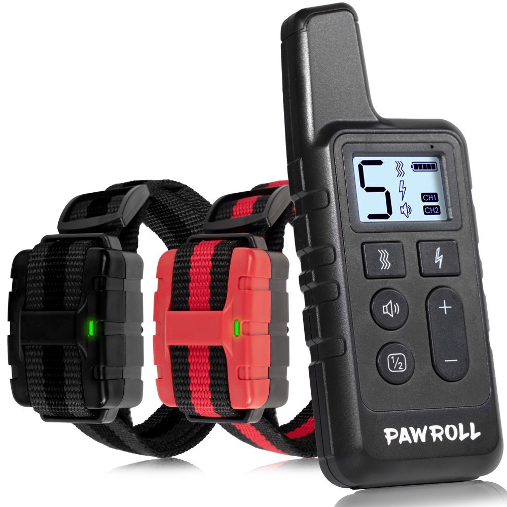 Dog Training Collar For 2 Dogs Black And Red | Luxury Home Accessories | Heulog Glow