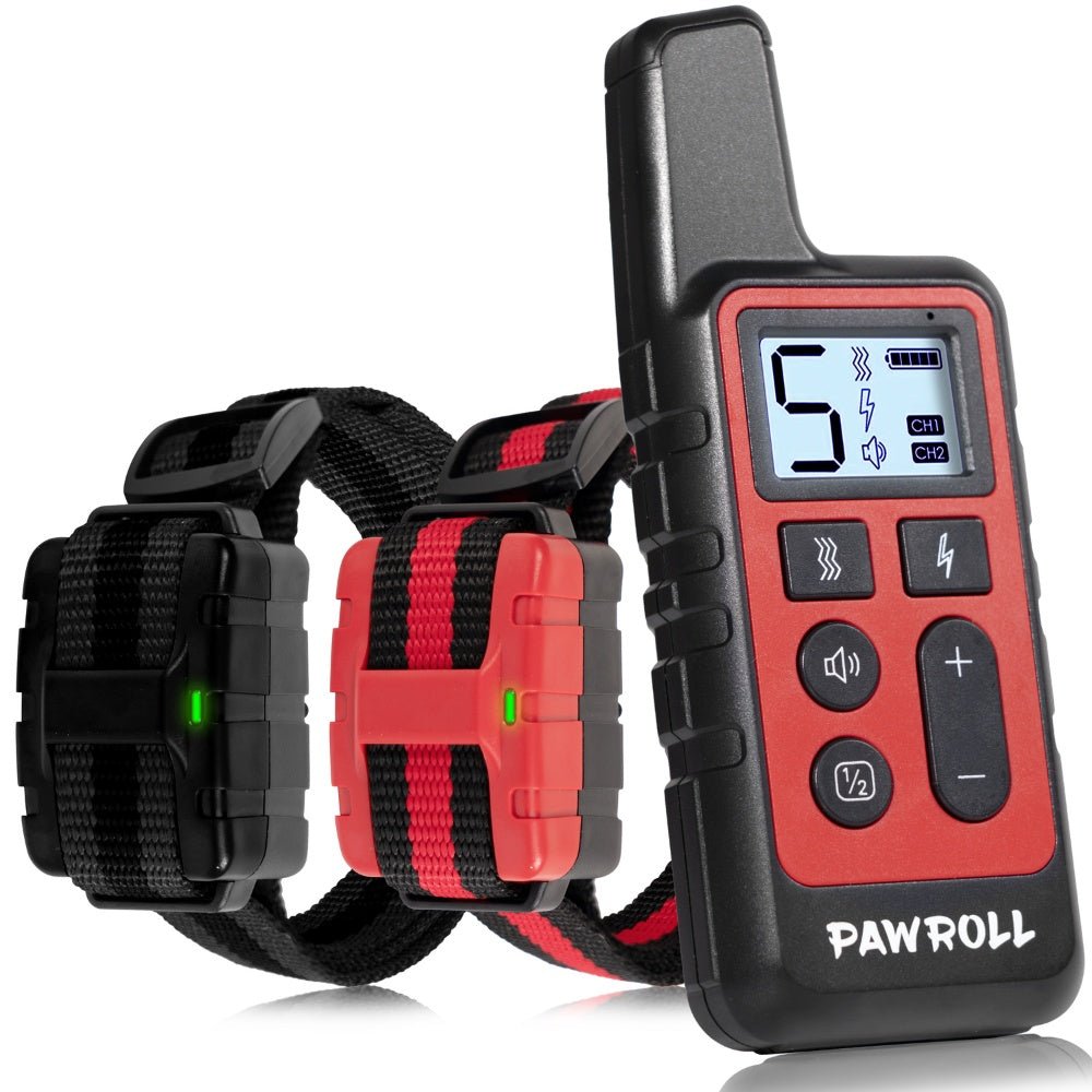 Dog Training Collar For 2 Dogs Black And Red | Luxury Home Accessories | Heulog Glow