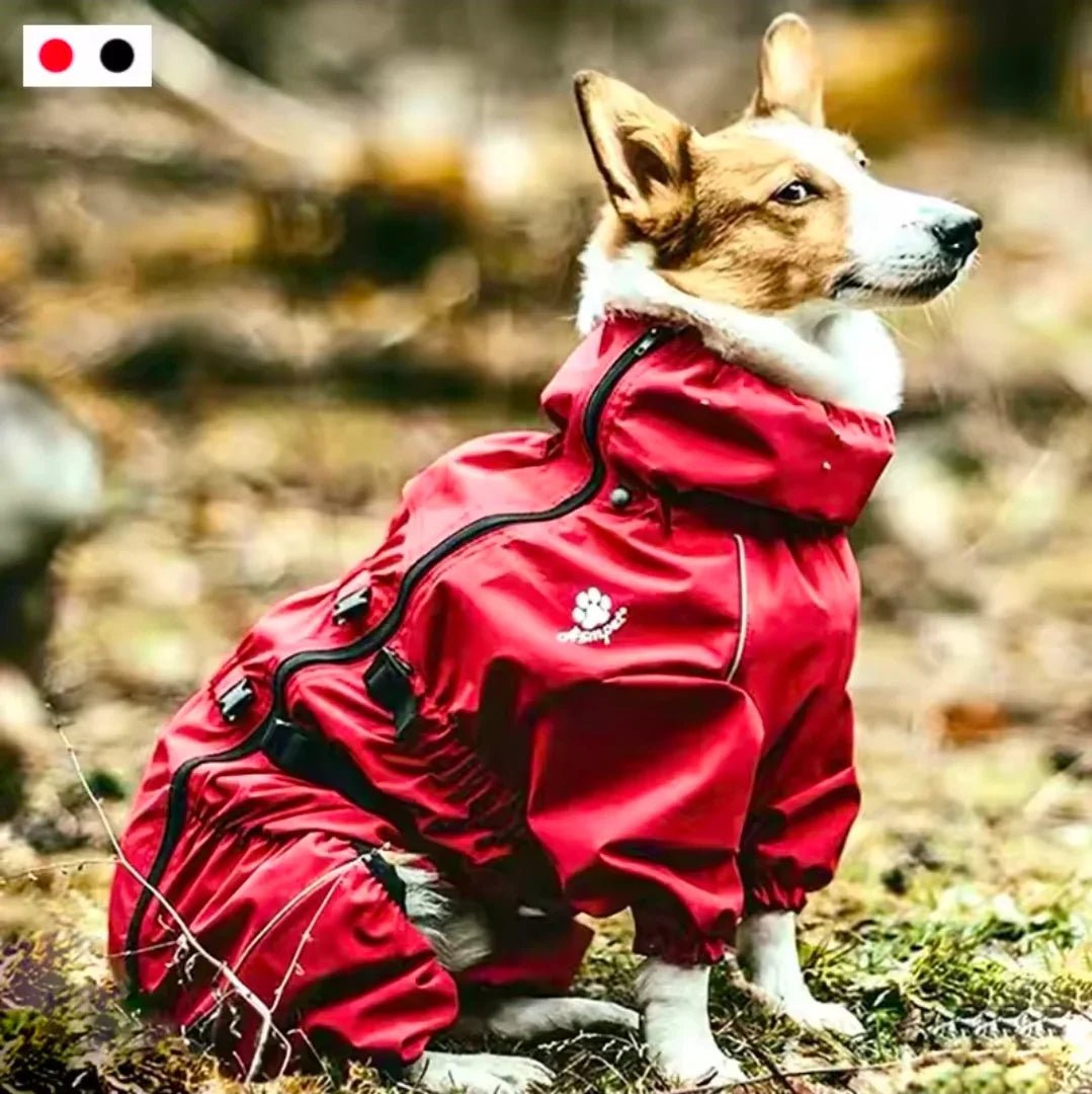 Dog Waterproof Jump Suit | Luxury Home Accessories | Heulog Glow