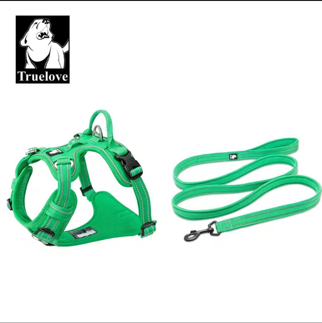 DogShackUK! True Love Harness & Lead | Luxury Home Accessories | Heulog Glow