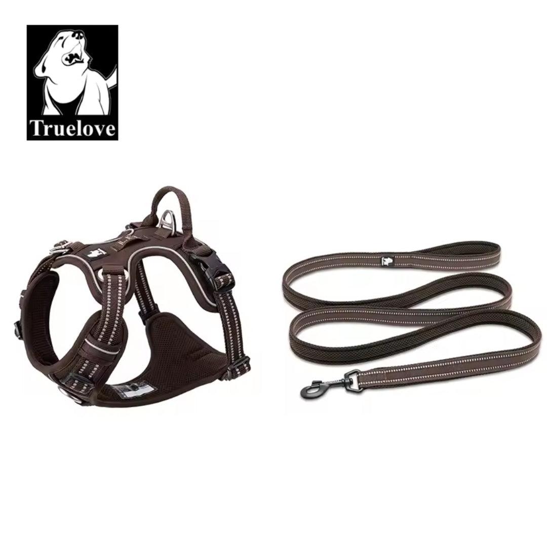 DogShackUK! True Love Harness & Lead | Luxury Home Accessories | Heulog Glow
