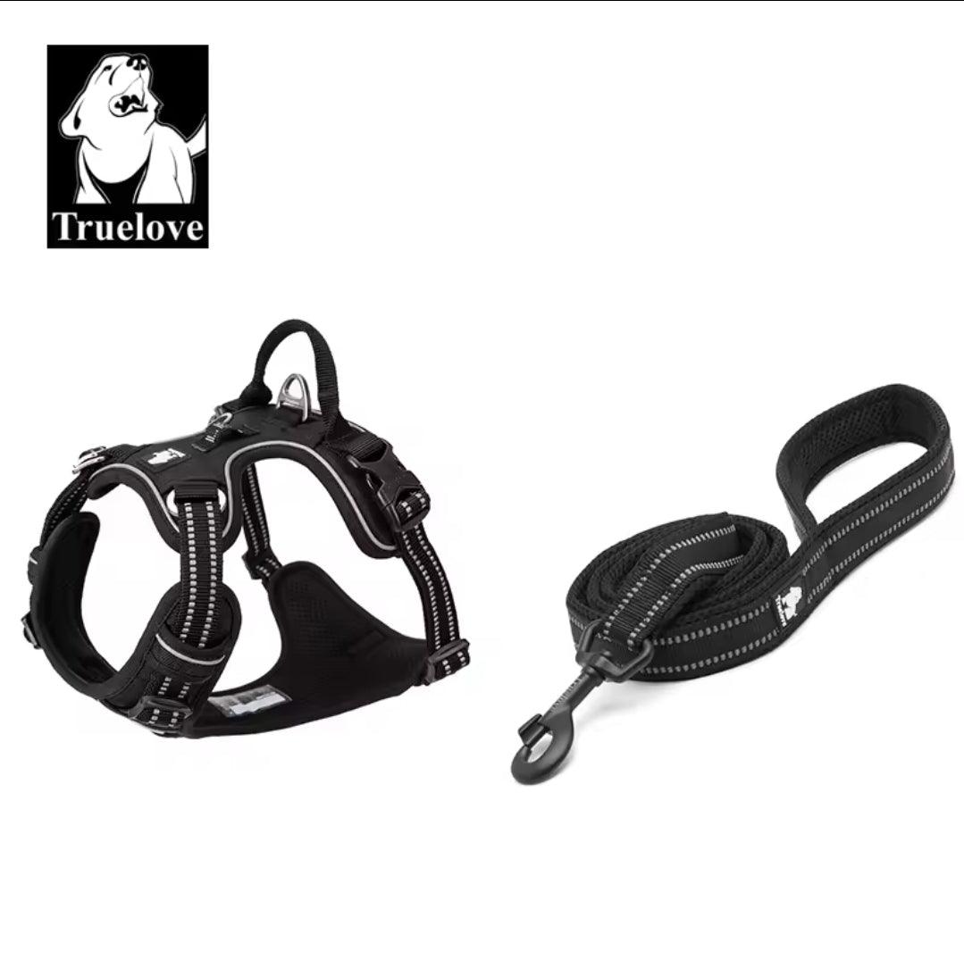 DogShackUK! True Love Harness & Lead | Luxury Home Accessories | Heulog Glow