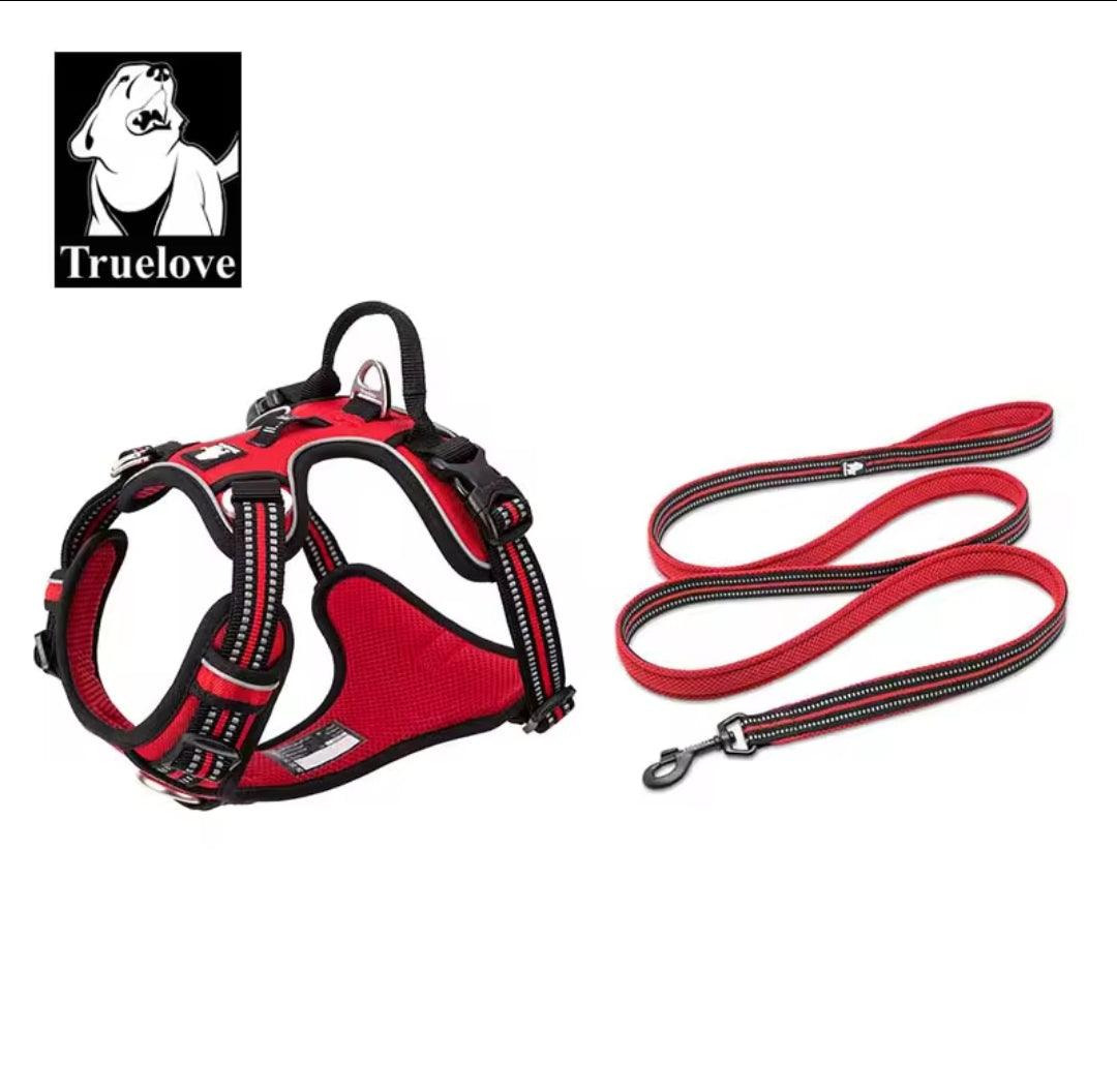 DogShackUK! True Love Harness & Lead | Luxury Home Accessories | Heulog Glow