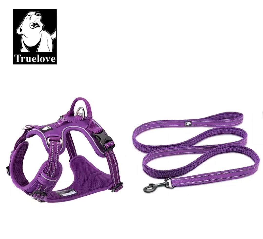 DogShackUK! True Love Harness & Lead | Luxury Home Accessories | Heulog Glow