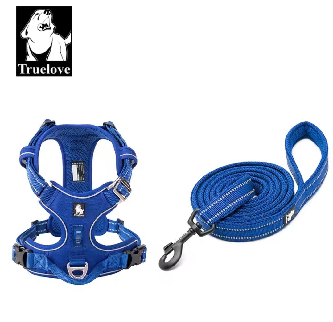 DogShackUK! True Love Harness & Lead | Luxury Home Accessories | Heulog Glow