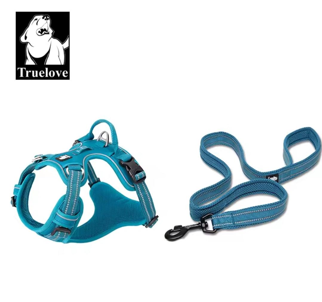 DogShackUK! True Love Harness & Lead | Luxury Home Accessories | Heulog Glow