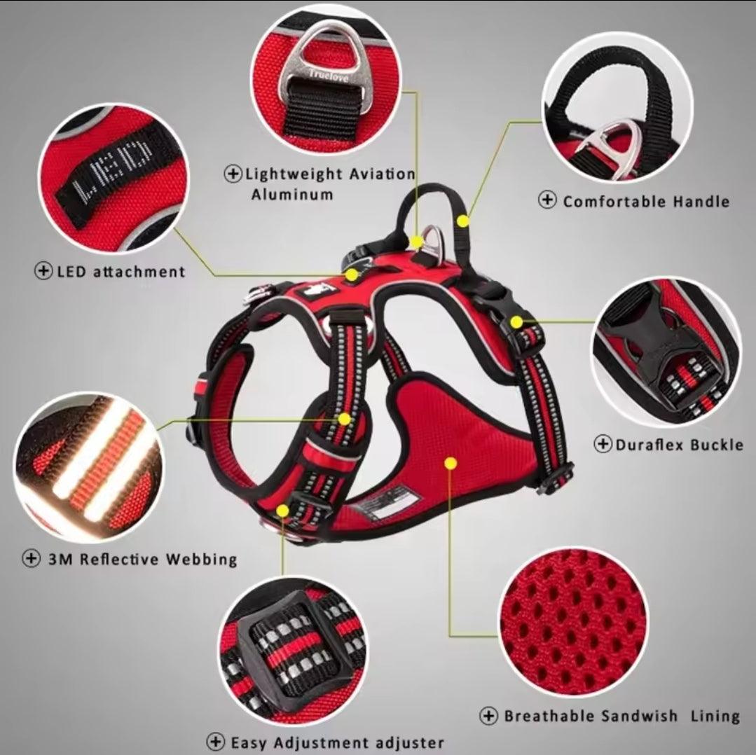 DogShackUK! True Love Harness & Lead | Luxury Home Accessories | Heulog Glow