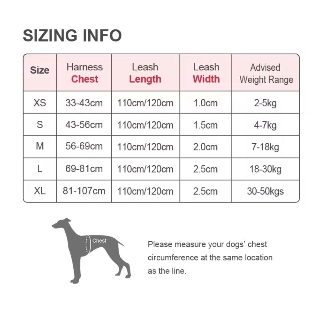 DogShackUK! True Love Harness & Lead | Luxury Home Accessories | Heulog Glow