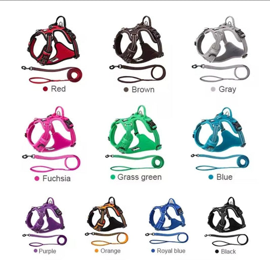 DogShackUK! True Love Harness & Lead | Luxury Home Accessories | Heulog Glow