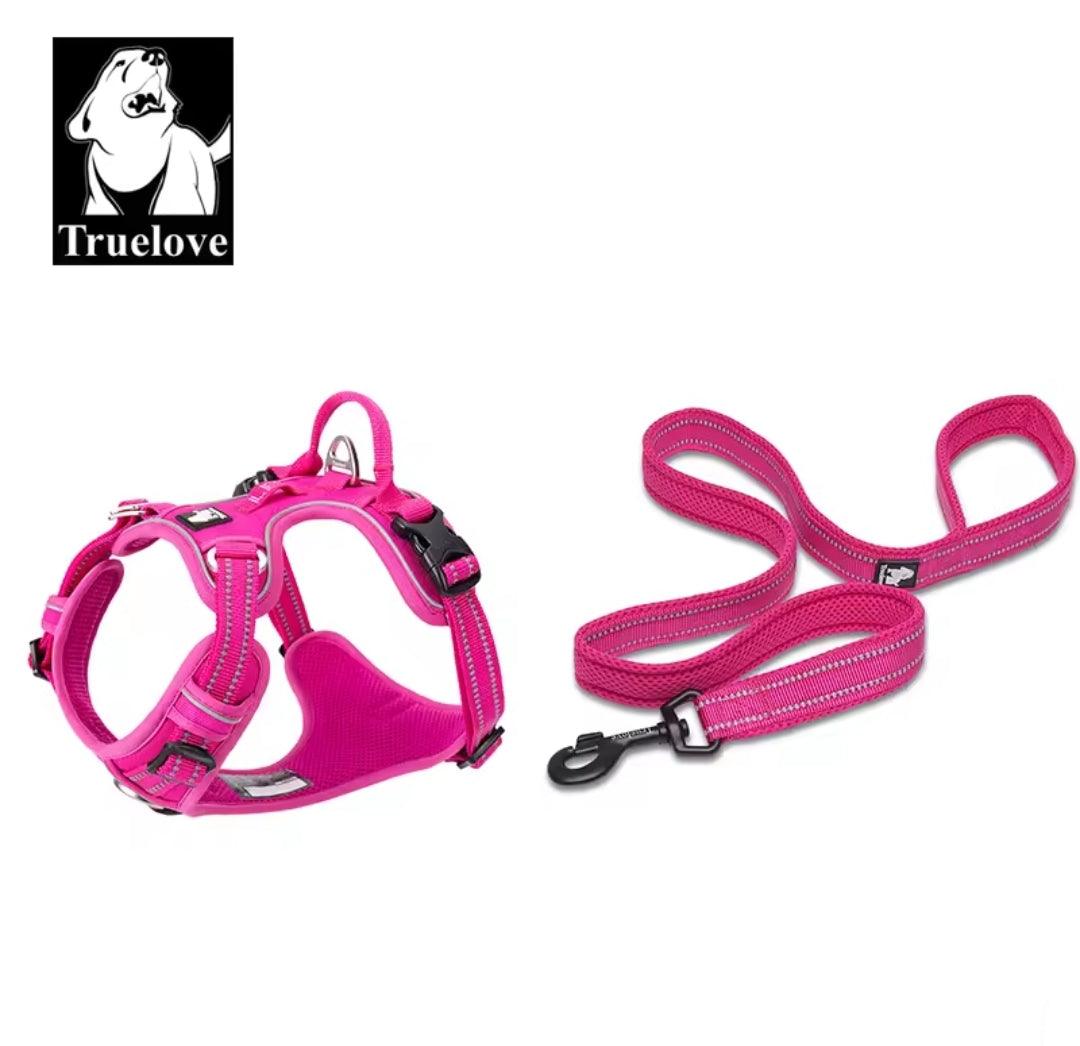 DogShackUK! True Love Harness & Lead | Luxury Home Accessories | Heulog Glow