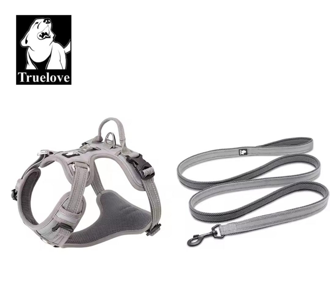 DogShackUK! True Love Harness & Lead | Luxury Home Accessories | Heulog Glow