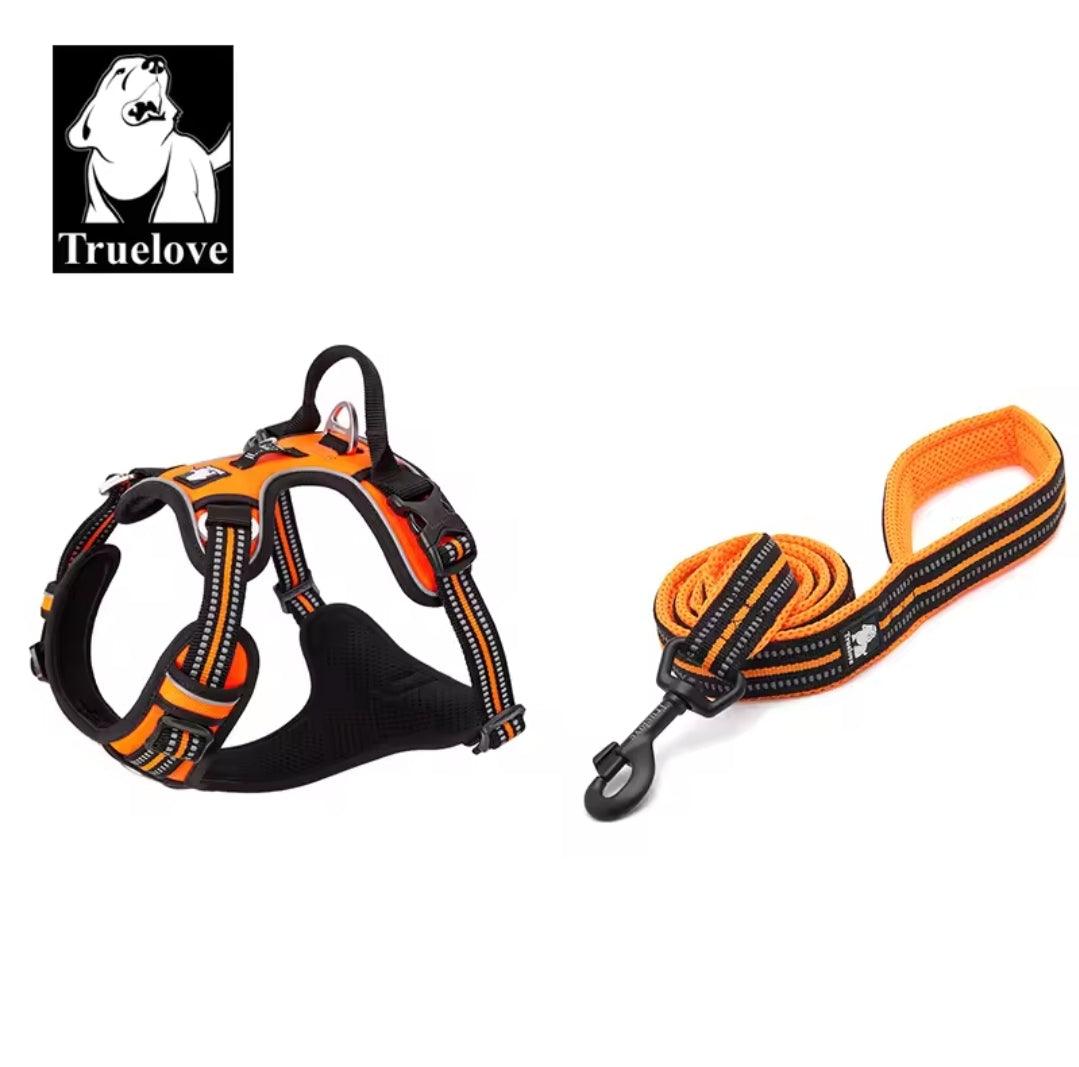 DogShackUK! True Love Harness & Lead | Luxury Home Accessories | Heulog Glow