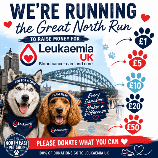 Donation to Leukaemia UK | Great North Run Fundraiser ❤️🏃‍♂️ | Luxury Home Accessories | Heulog Glow