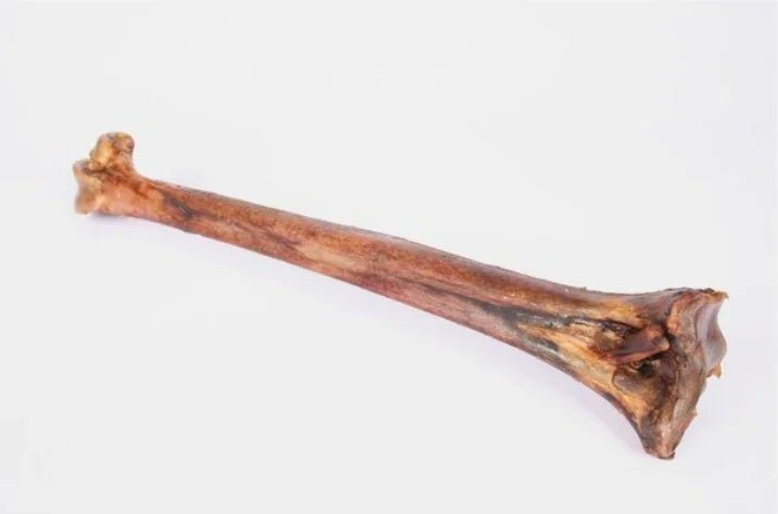 Doodles Deli Air Dried Ostrich Mini Caveman Bone | Luxury Home Accessories | Heulog Glow