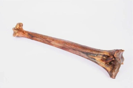 Doodles Deli Air Dried Ostrich Mini Caveman Bone | Luxury Home Accessories | Heulog Glow