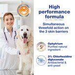 Douxo S3 Pyo Antiseptic Shampoo for Dog and Cats - 200ml | Luxury Home Accessories | Heulog Glow