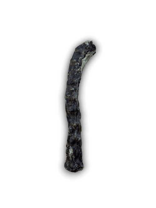 Duck Necks / Large | Luxury Home Accessories | Heulog Glow