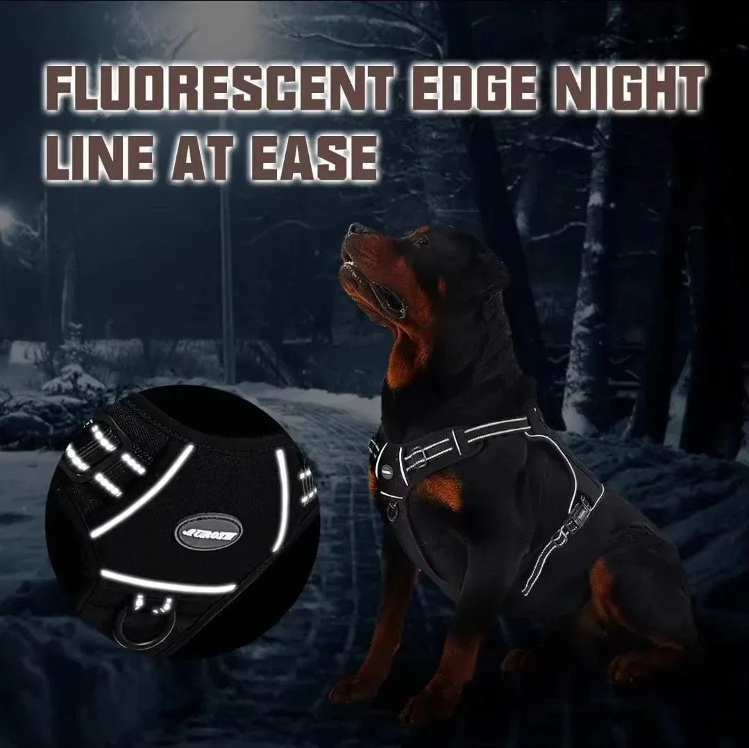 Easy Control Harness | Luxury Home Accessories | Heulog Glow