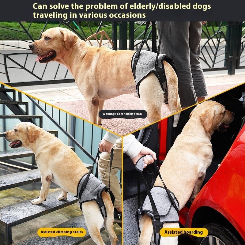 Elderly Dog Outing Back-style Auxiliary Strap | Luxury Home Accessories | Heulog Glow