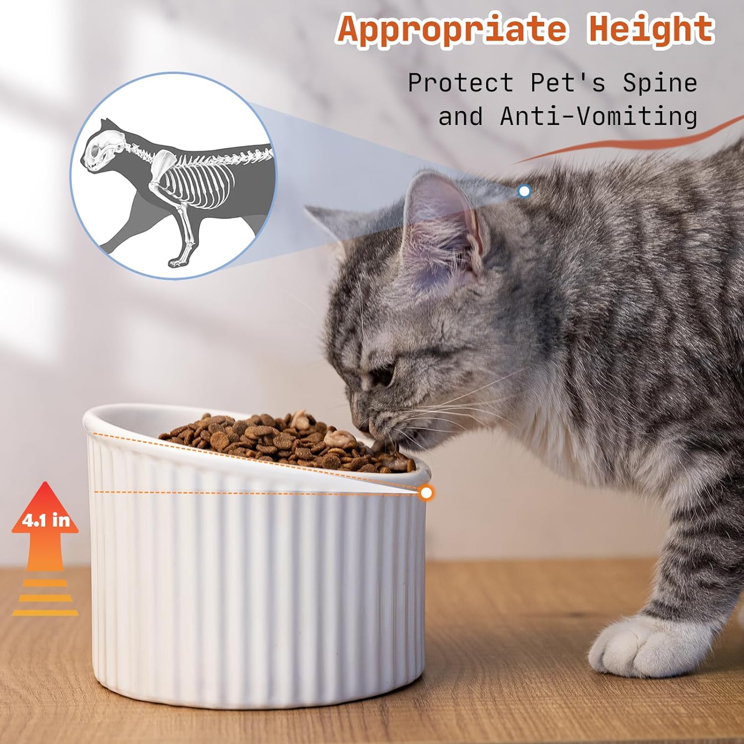 Elevated Cat Bowls Raised Cat Bowl For Indoor Cats Tilted Ceramic Elevated Food Or Water Bowls Anti Vomit Whisker Friendly Bowls Round Shape | Luxury Home Accessories | Heulog Glow