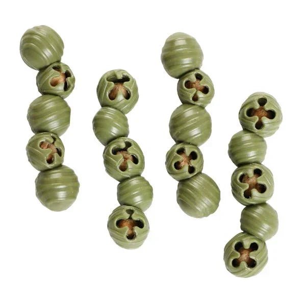 Elkwood Rattlesnaps Dental Broccoli & Apple Chicken 10x50g | Luxury Home Accessories | Heulog Glow