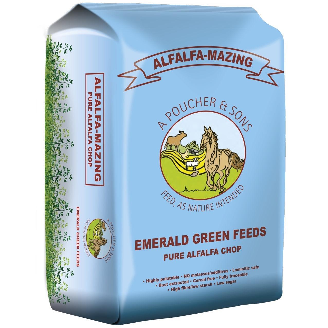 Emerald Green Alfalfa-Mazing | Luxury Home Accessories | Heulog Glow