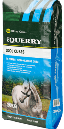 Equerry Cool Cubes | Luxury Home Accessories | Heulog Glow