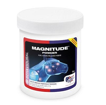 Equine America Magnitude | Luxury Home Accessories | Heulog Glow