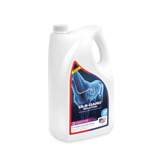 Equine America Uls-Gard Solution | Luxury Home Accessories | Heulog Glow