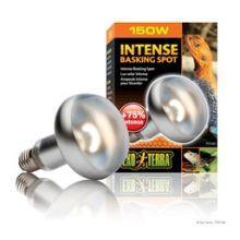 Exo Terra Intense Basking Spot - 150w | Luxury Home Accessories | Heulog Glow