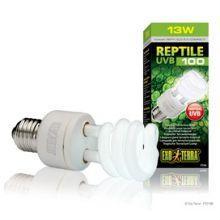 Exo Terra Reptile Glo 5.0 Compact Fluorescent Bulb 13w | Luxury Home Accessories | Heulog Glow
