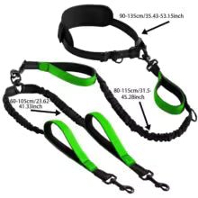 Explosive Double Dog Running Lead | Luxury Home Accessories | Heulog Glow