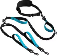 Explosive Double Dog Running Lead | Luxury Home Accessories | Heulog Glow