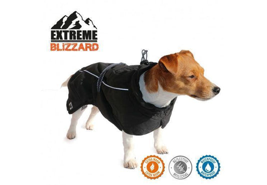 Extreme Blizzard Dog Coat Black 25cm XS | Luxury Home Accessories | Heulog Glow