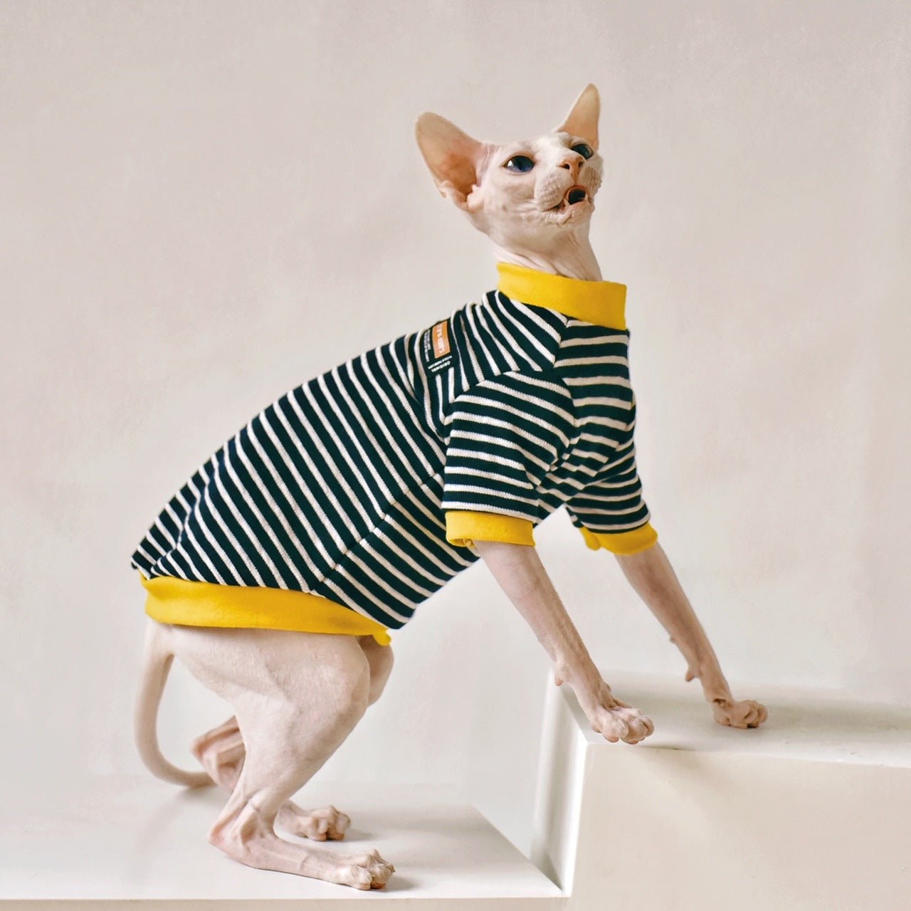 Fabric Sphinx Hairless Cat Clothing | Luxury Home Accessories | Heulog Glow