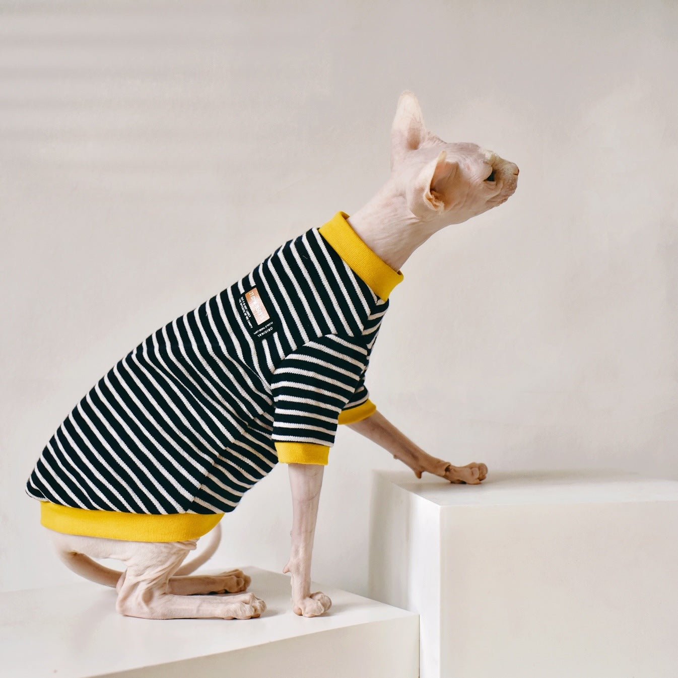 Fabric Sphinx Hairless Cat Clothing | Luxury Home Accessories | Heulog Glow