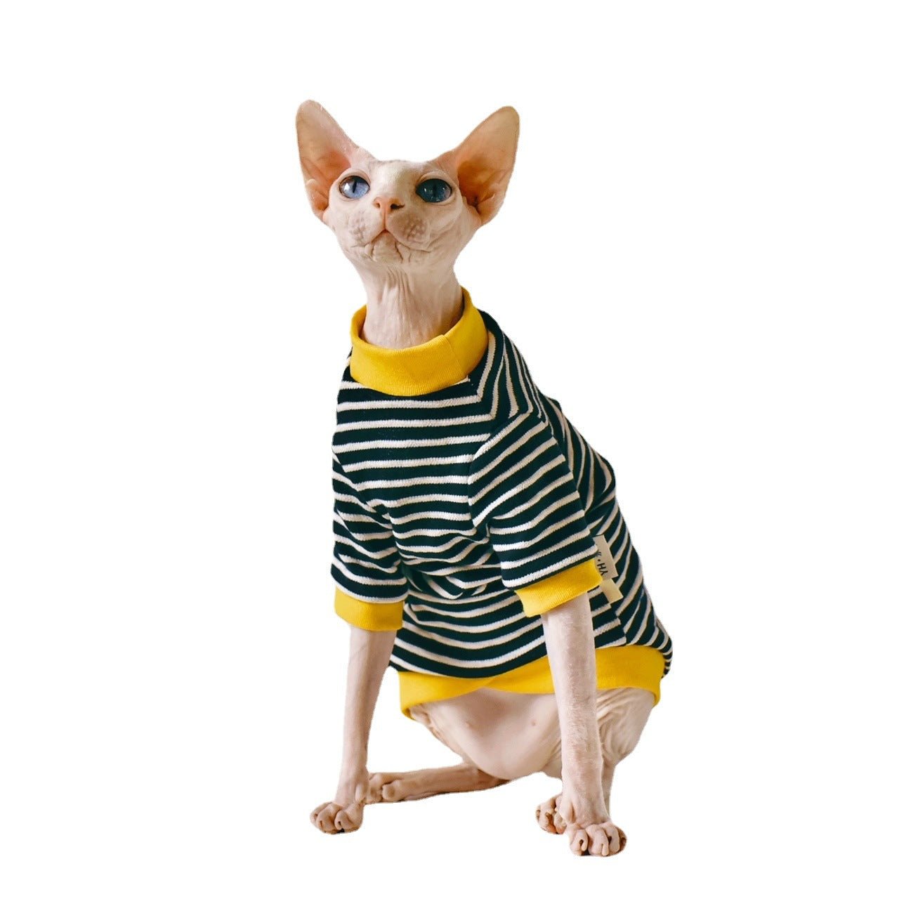 Fabric Sphinx Hairless Cat Clothing | Luxury Home Accessories | Heulog Glow