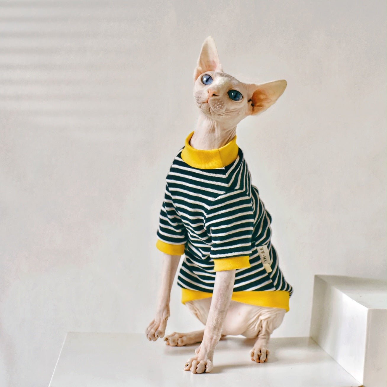 Fabric Sphinx Hairless Cat Clothing | Luxury Home Accessories | Heulog Glow