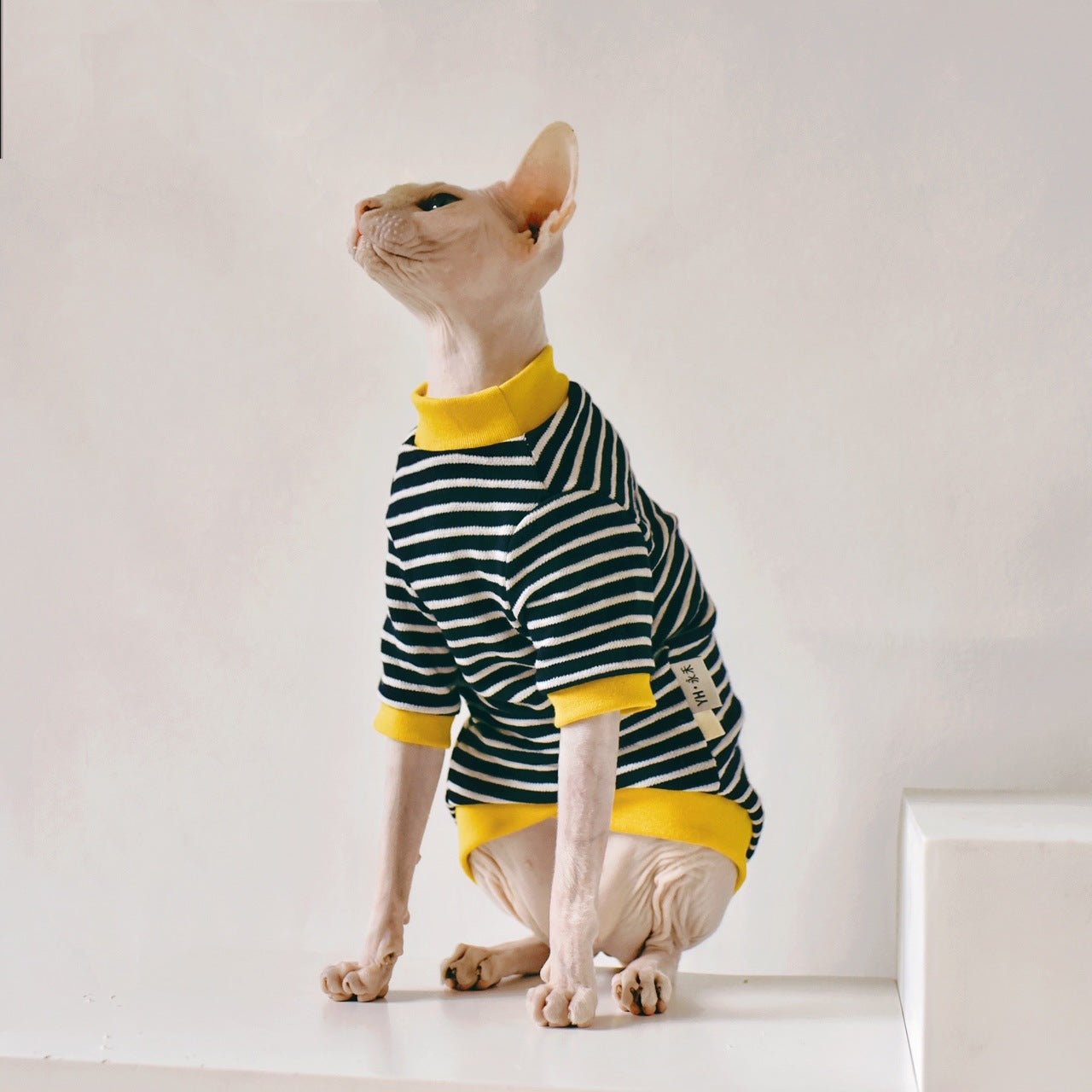 Fabric Sphinx Hairless Cat Clothing | Luxury Home Accessories | Heulog Glow