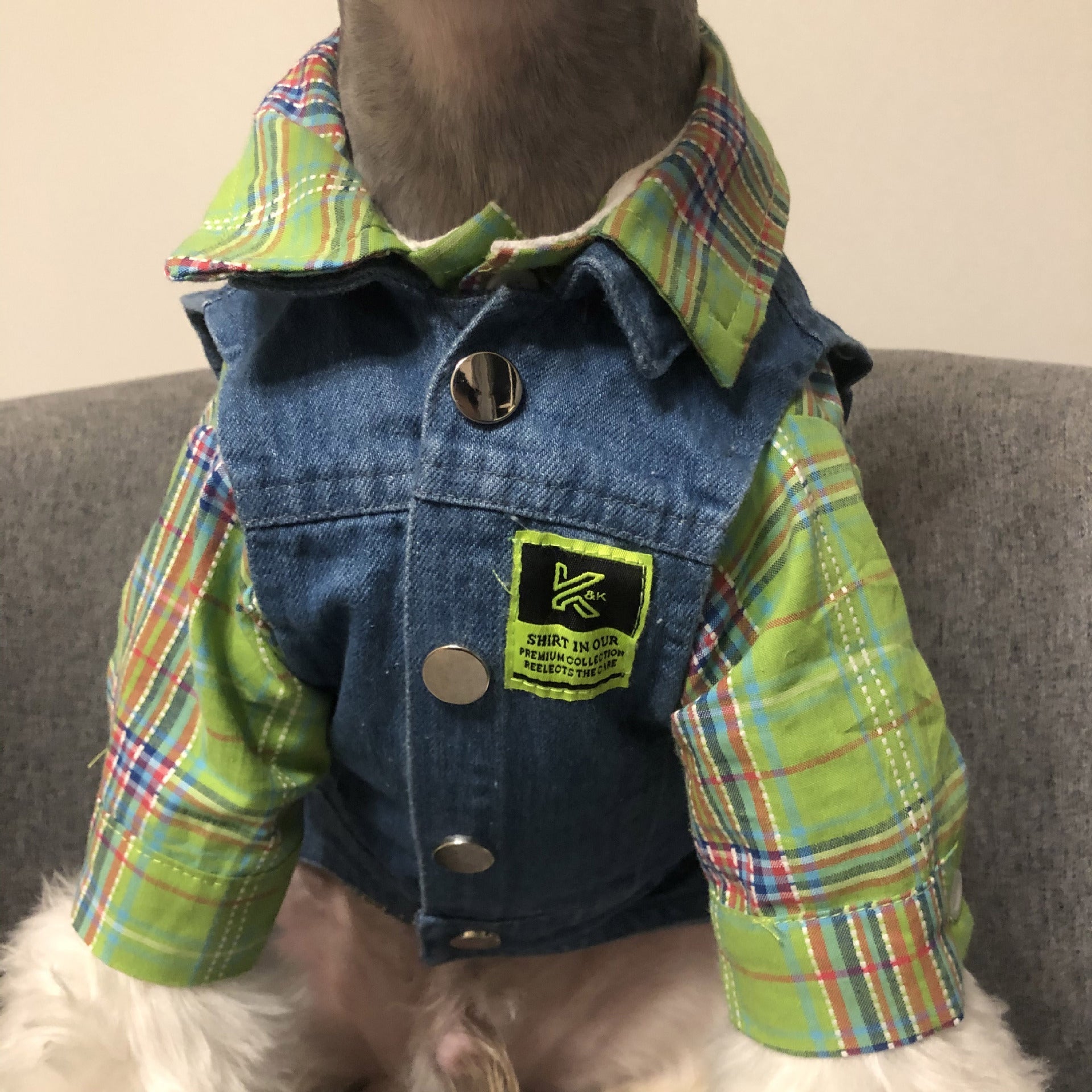 Fadou Schnauzer Teddy Corgi Small and Medium Dog Cat Pet Clothes Jacket | Luxury Home Accessories | Heulog Glow