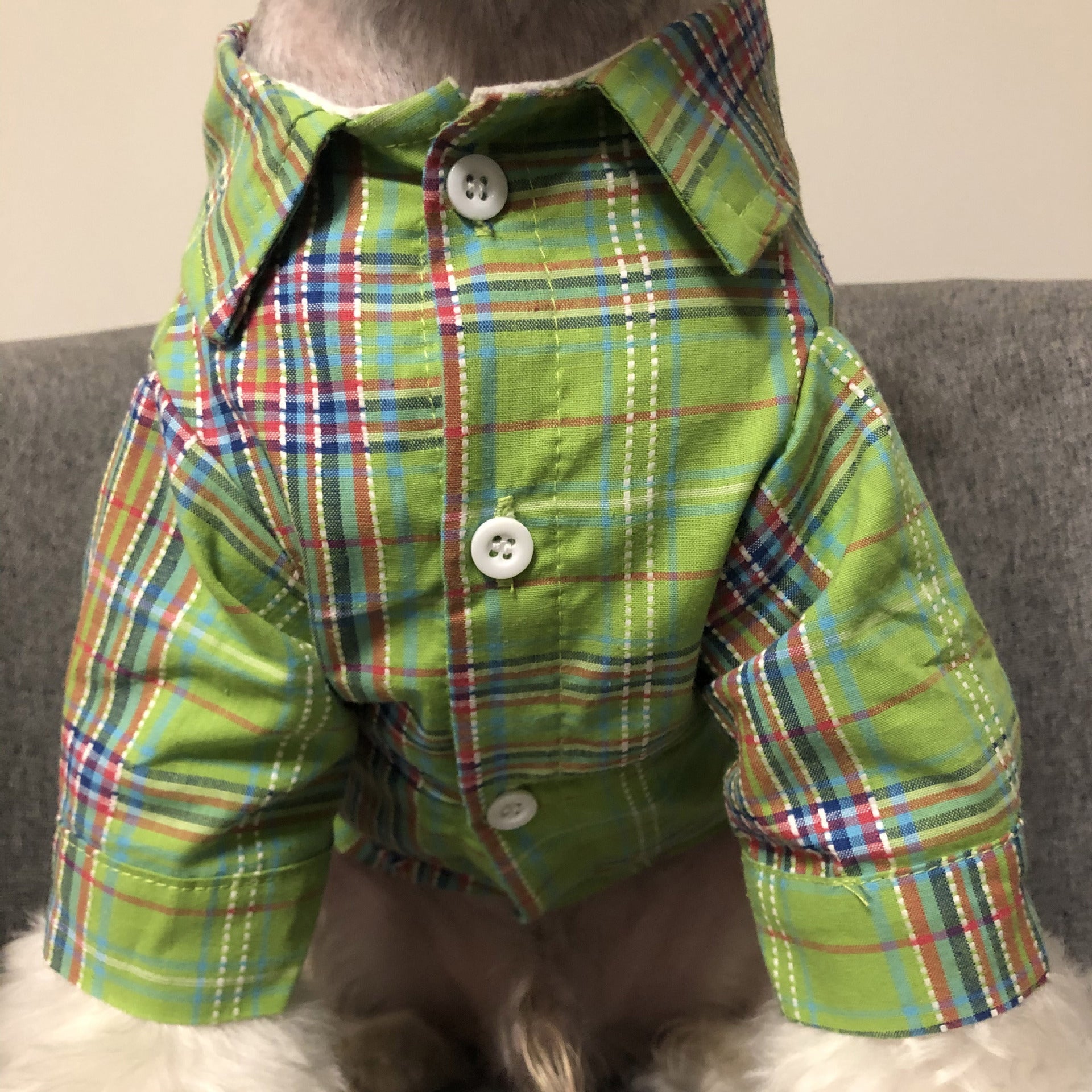 Fadou Schnauzer Teddy Corgi Small and Medium Dog Cat Pet Clothes Jacket | Luxury Home Accessories | Heulog Glow