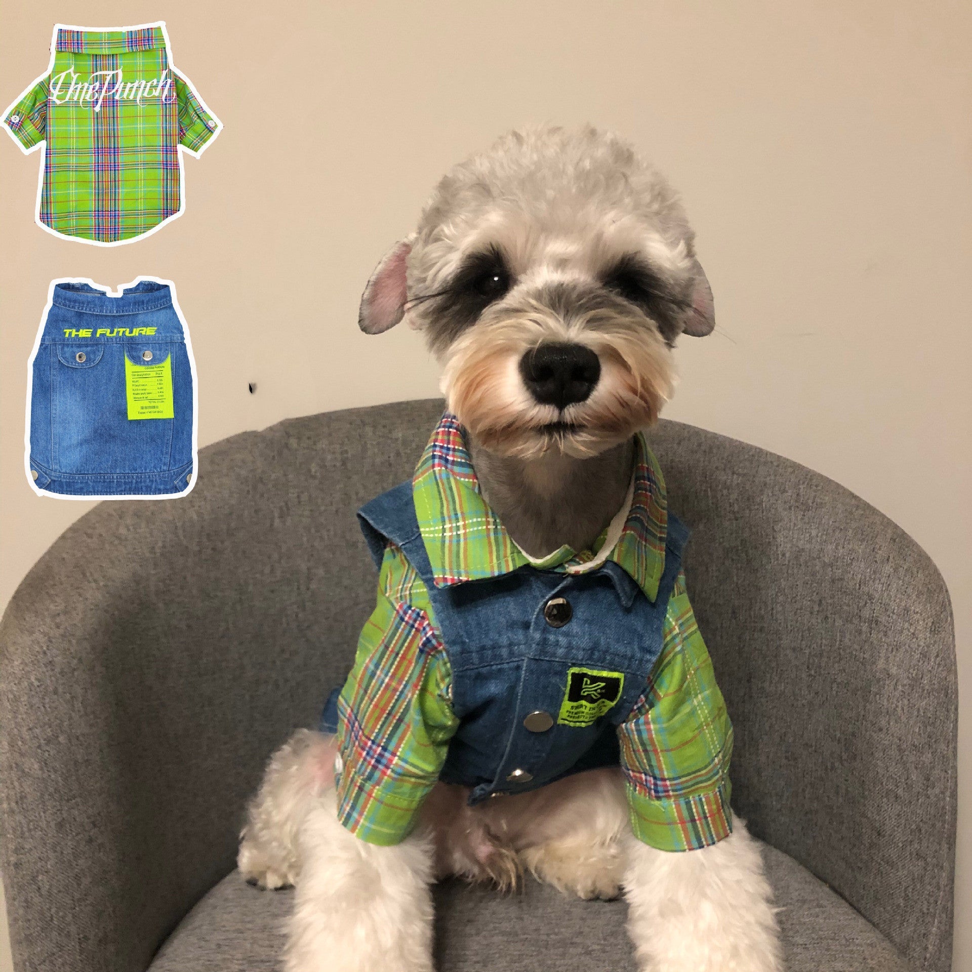 Fadou Schnauzer Teddy Corgi Small and Medium Dog Cat Pet Clothes Jacket | Luxury Home Accessories | Heulog Glow